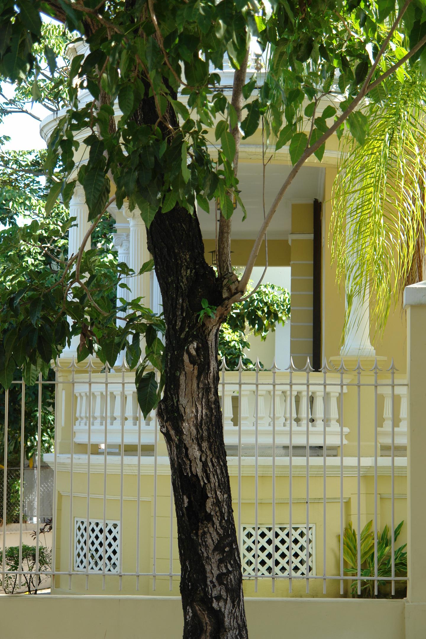 Casa La Giralda - Avenida Miramar, esquina calle Marti 651 - San Juan (Miramar) - 2011 00023